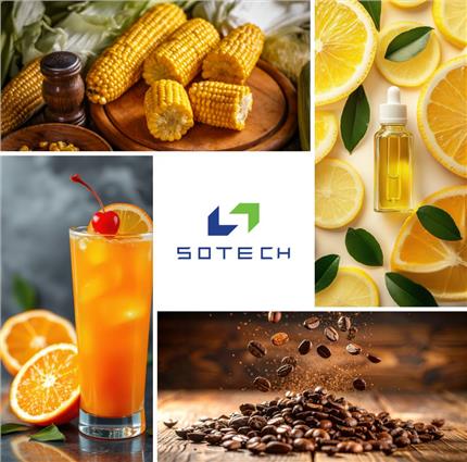 Công Ty Hương Liệu Thực Phẩm Việt Nam Uy Tín | Sotech Food