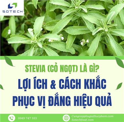 Stevia Là Gì? Lợi Ích & Cách Khắc Phục Vị Đắng Hiệu Quả