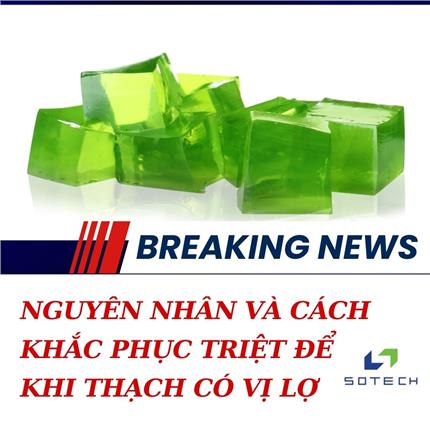 Nguyên Nhân Và Cách Khắc Phục Triệt Để Khi Thạch Có Vị Lợ
