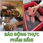 Báo Động Thực Phẩm Bẩn 