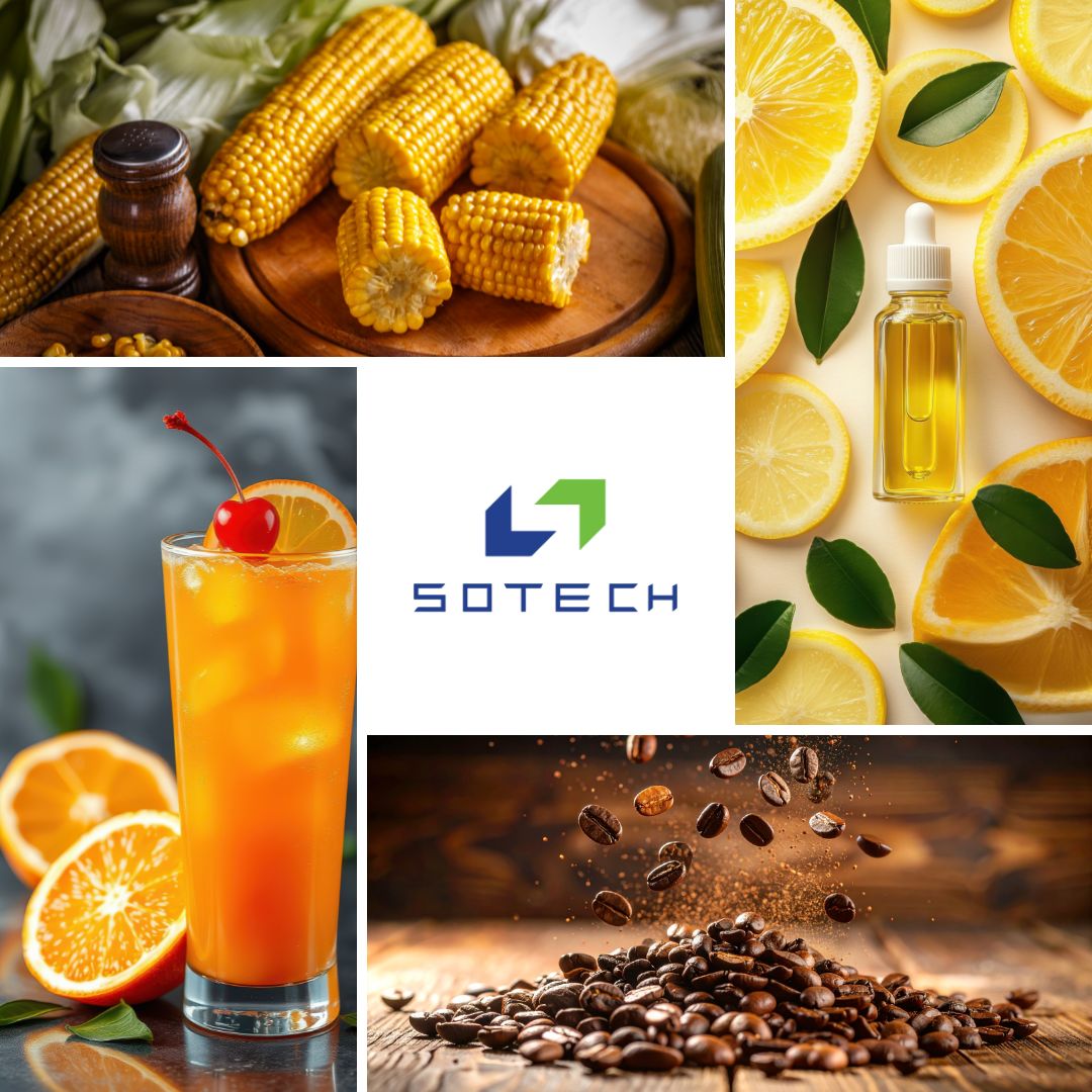 Công Ty Hương Liệu Thực Phẩm Việt Nam Uy Tín | Sotech Food