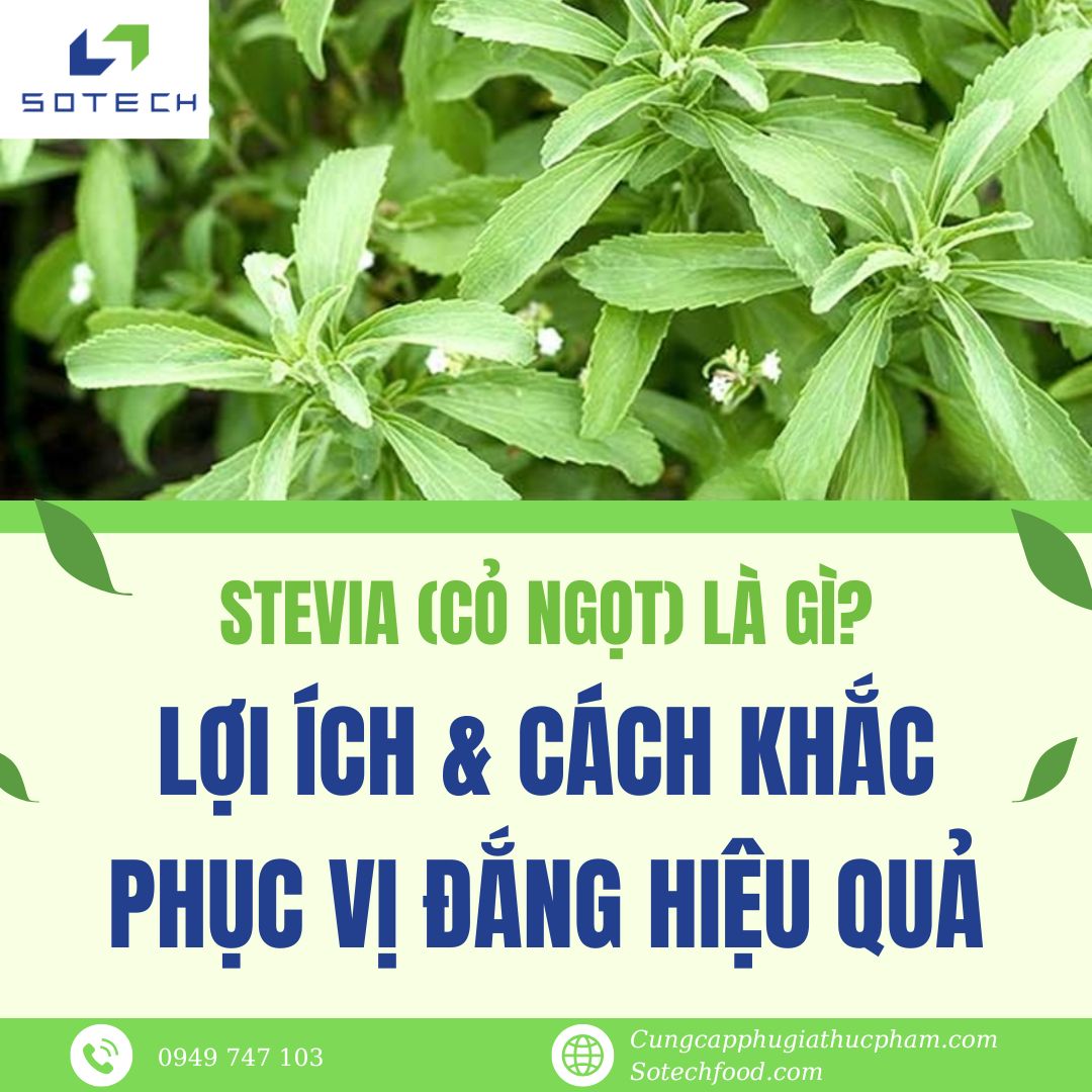Stevia Là Gì? Lợi Ích & Cách Khắc Phục Vị Đắng Hiệu Quả